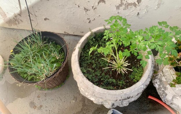 Eco espaço